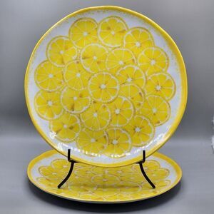 Shabby Chic 11" Dinner Plates 100% Melamine Lemon Slices Set of 2 Picnic Outdoor